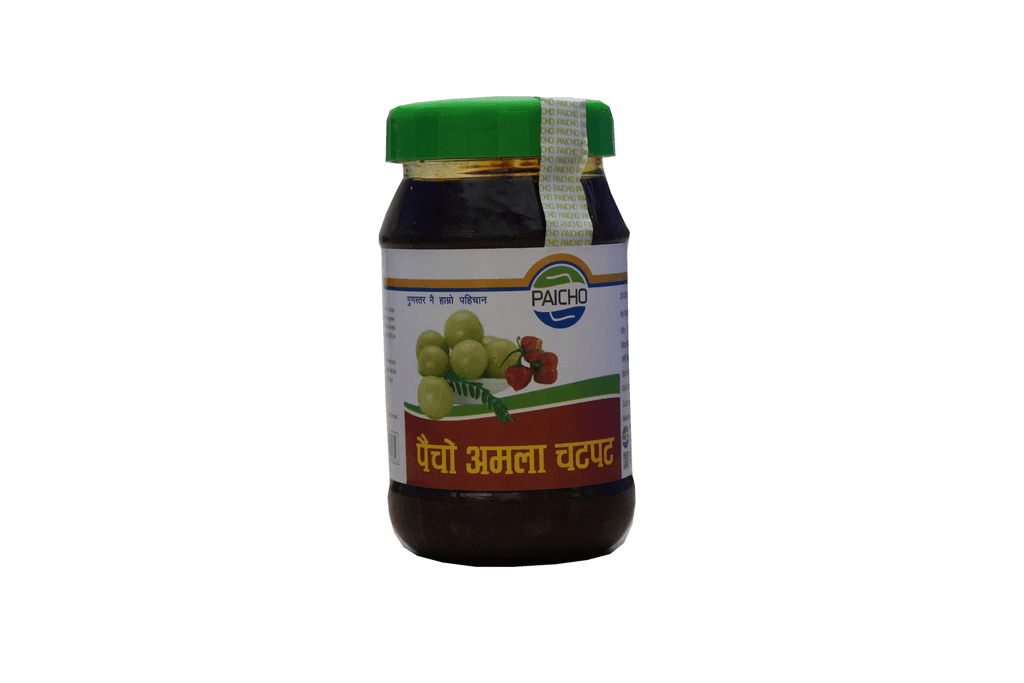 PAICHO AMALA CHATPAT PICKLE 400G